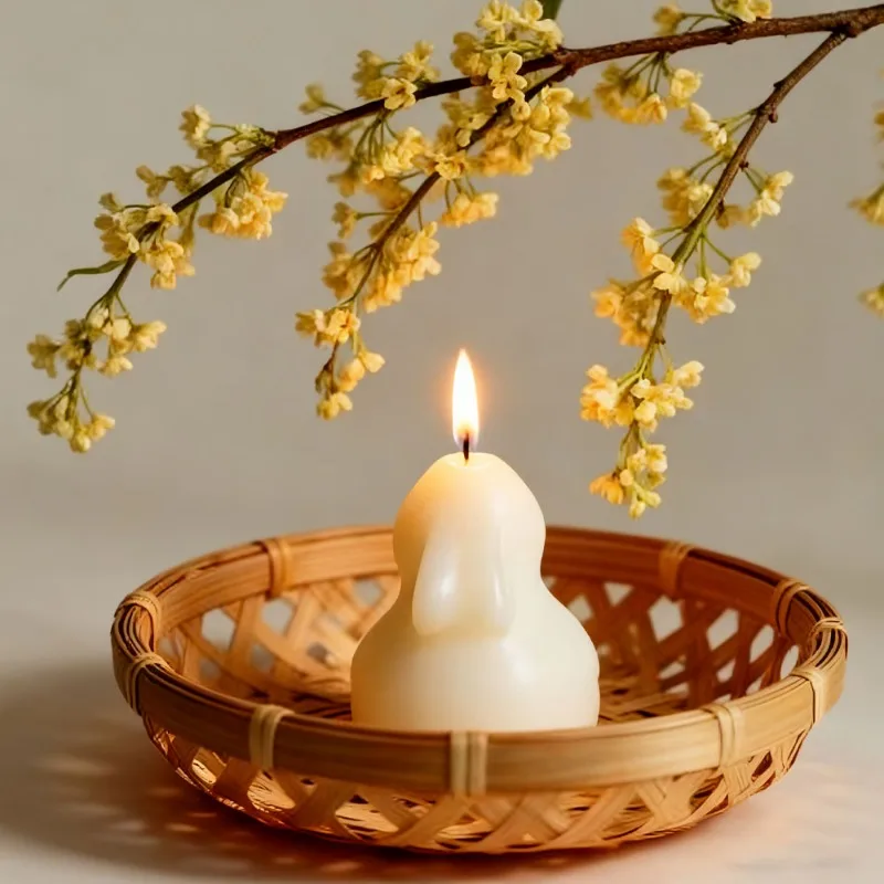 قالب سيليكون جديد 2026 على شكل - مراجعة Candle Making Gel Wax وسعره